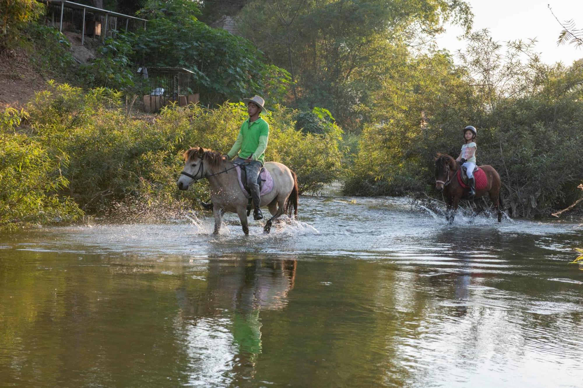 Namkhan Horses Stables Луанг Прабанг Екстериор снимка