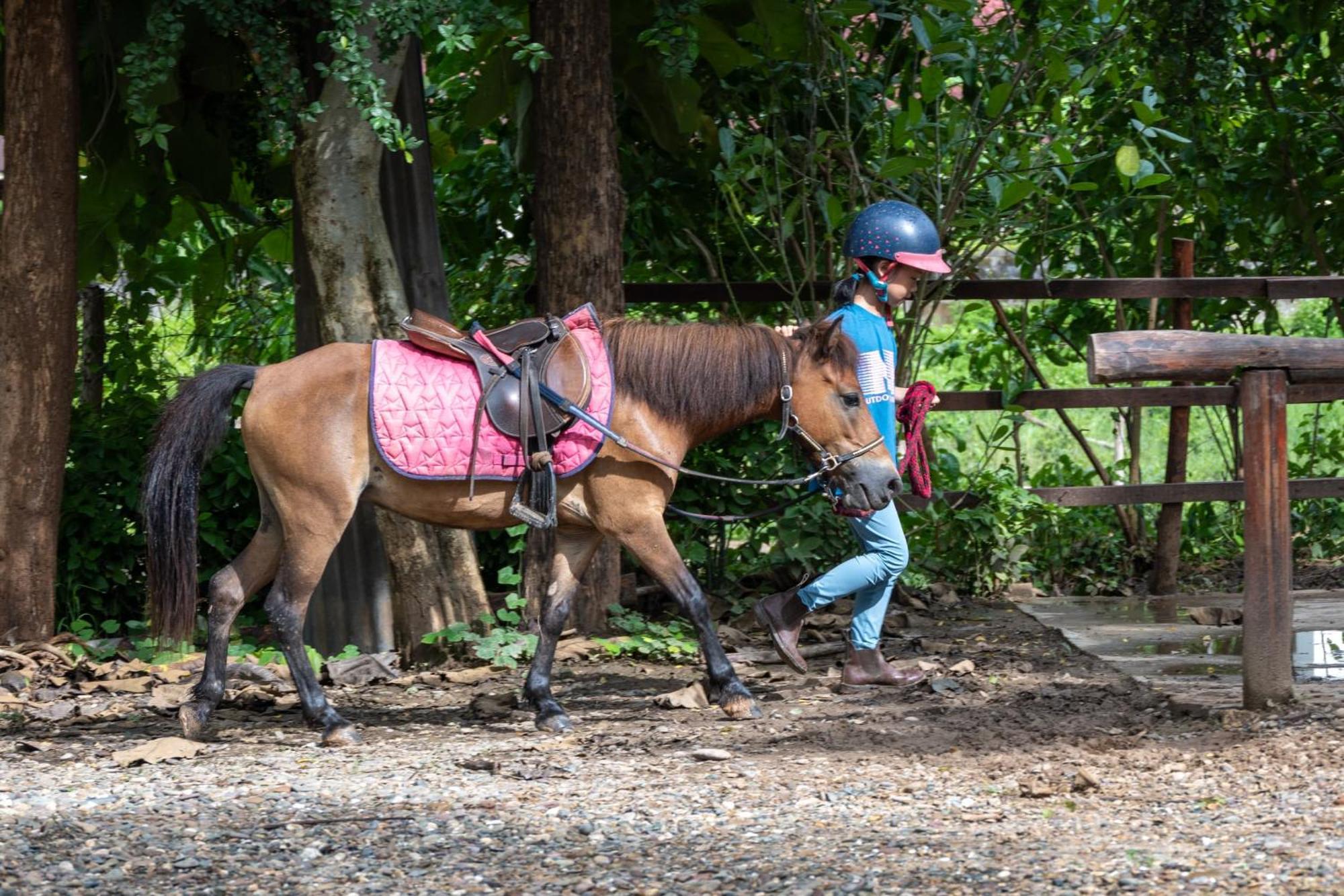 Namkhan Horses Stables Луанг Прабанг Екстериор снимка