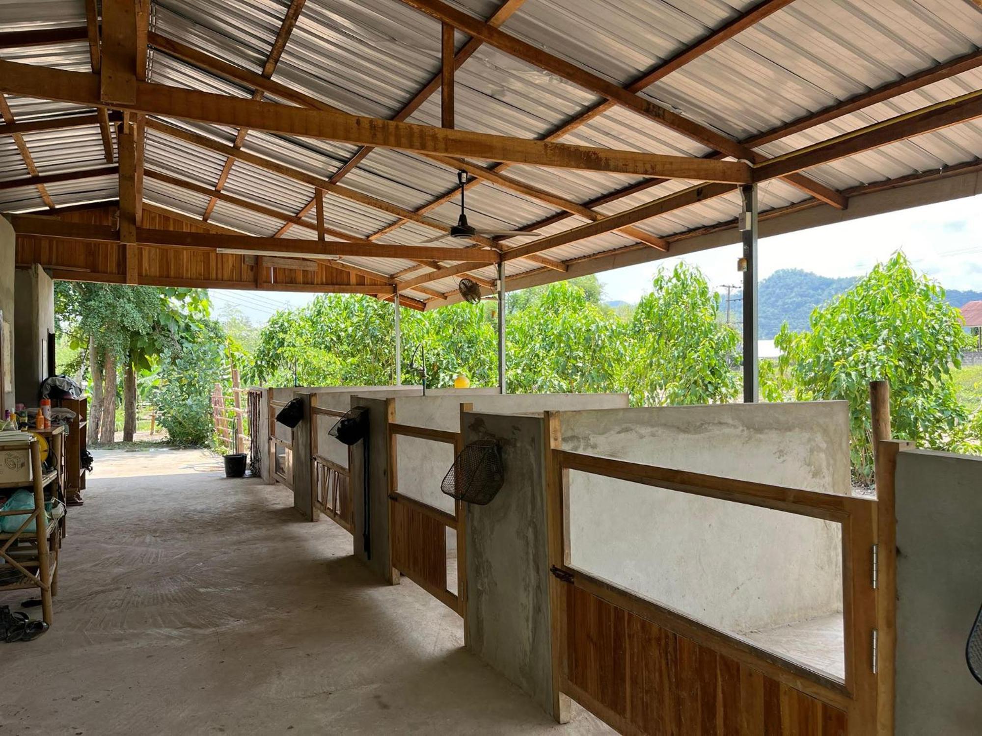 Namkhan Horses Stables Луанг Прабанг Екстериор снимка